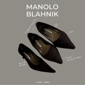Manolo Blahnik Brown Heels Classic Pointed-Toe